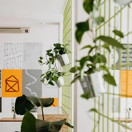 The Pure, Frankfurt, A Member Of Design